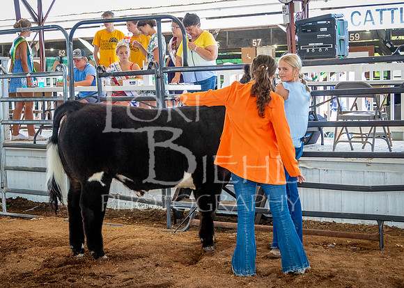 2024-07-11 LCF Jackpot Steer Show #1 - LB-18
