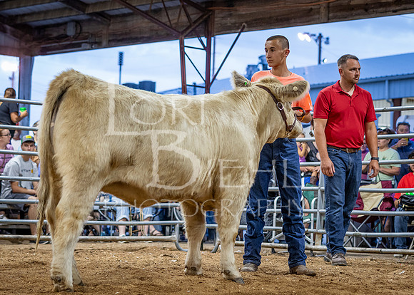 2024-07-10 LCF Jr. Steer Show #1 - CH-38