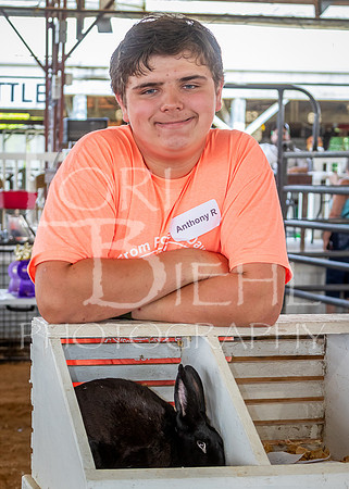 2024-07-08 LCF Jr. Rabbit Show #1 - LB-122