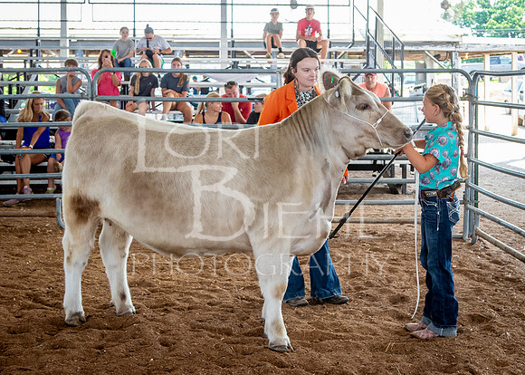 2024-07-11 LCF Jackpot Steer Show #1 - LB-2
