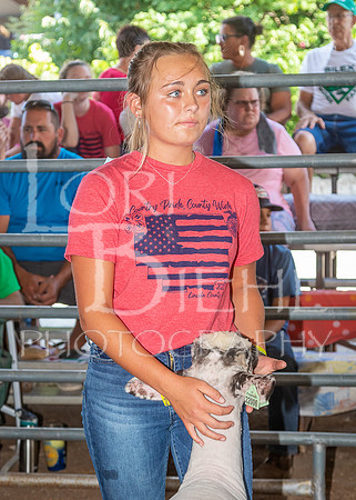 2022-07-13 LCF Jr. Lamb Show #1-LB-22