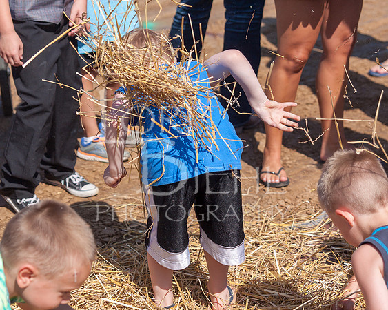 20160716-IMG_0097-3