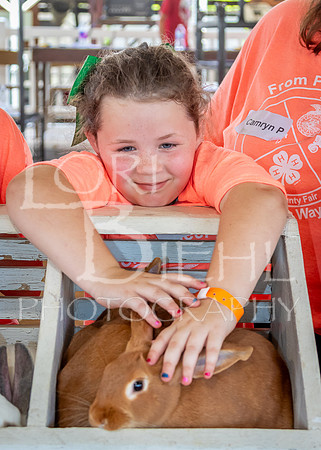 2024-07-08 LCF Jr. Rabbit Show #1 - LB-16