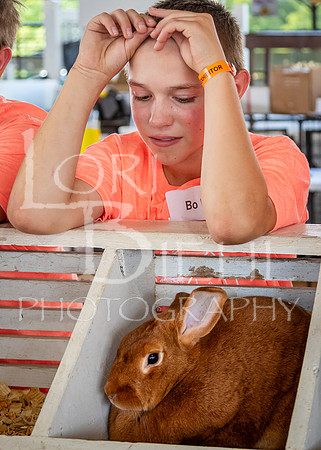 2024-07-08 LCF Jr. Rabbit Show #1 - LB-150