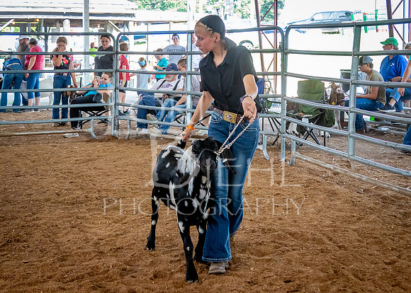 2024-07-12 LCF Open Breeding Goat Show #1 - LB-127