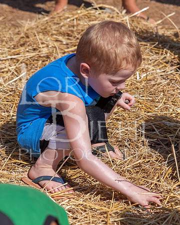 20160716-IMG_0085-3