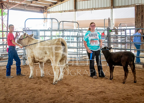 2024-07-12 LCF Open Breeding Cattle Show #1 - LB-40