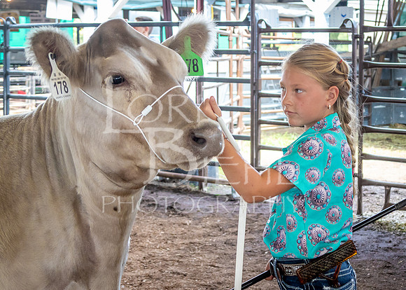 2024-07-11 LCF Jackpot Steer Show #1 - LB-8