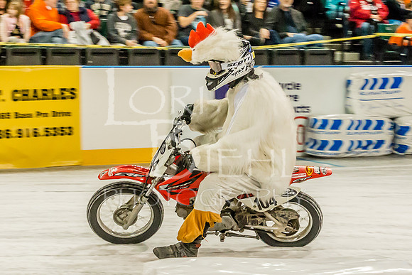 20170128-IMG_2043
