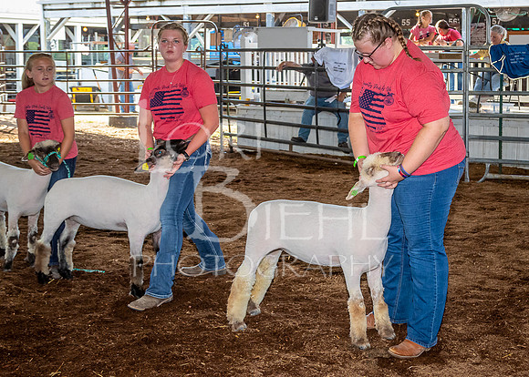 2022-07-13 LCF Jr. Lamb Show #1-LB-30