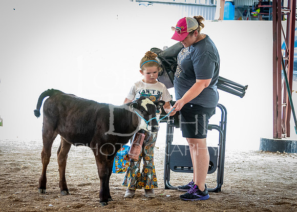 2024-07-12 LCF Open Breeding Cattle Show #1 - LB-71