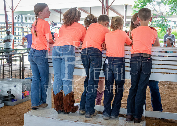 2024-07-08 LCF Jr. Rabbit Show #1 - LB-90