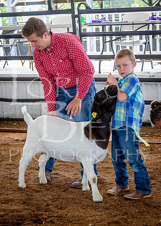 2024-07-12 LCF Open Breeding Goat Show #1 - LB-166