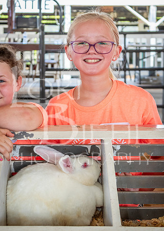 2024-07-08 LCF Jr. Rabbit Show #1 - LB-144
