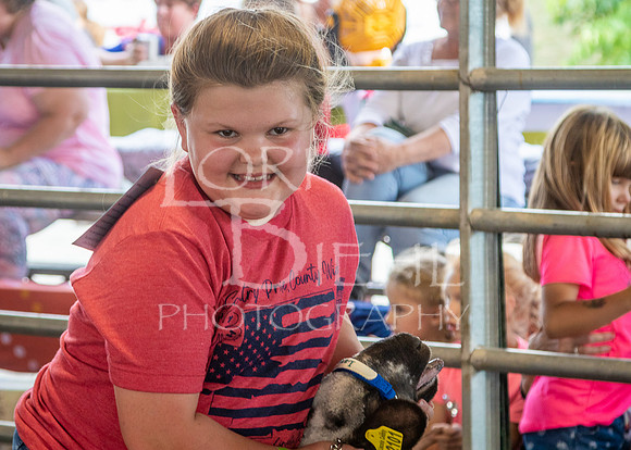 2022-07-13 LCF Jr. Lamb Show #1-LB-6