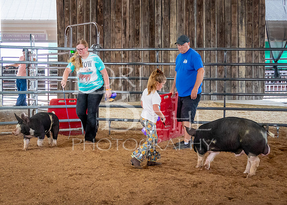 2024-07-12 LCF Open Breeding Swine Show #1 - LB-24
