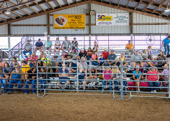 2024-07-10 LCF Jr. Sheep Show #1 - CH-6