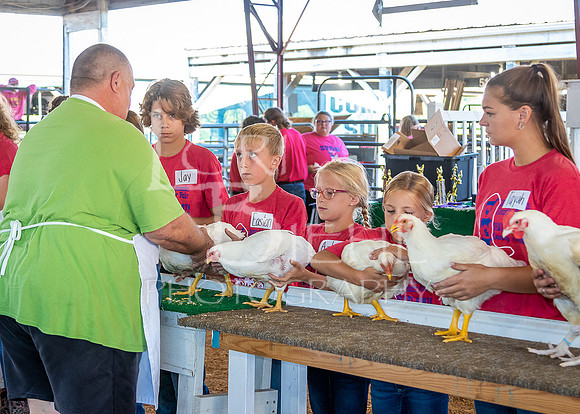 2023-07-10 LCF Jr. Poultry Show #1 - LB-10