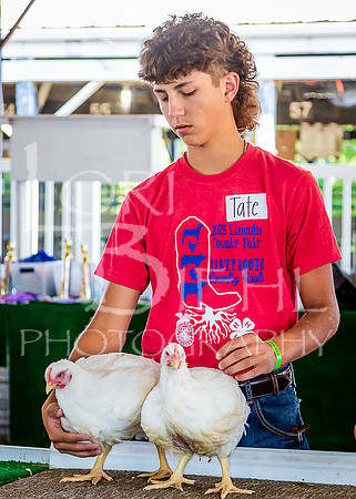 2023-07-10 LCF Jr. Poultry Show #1 - LB-21
