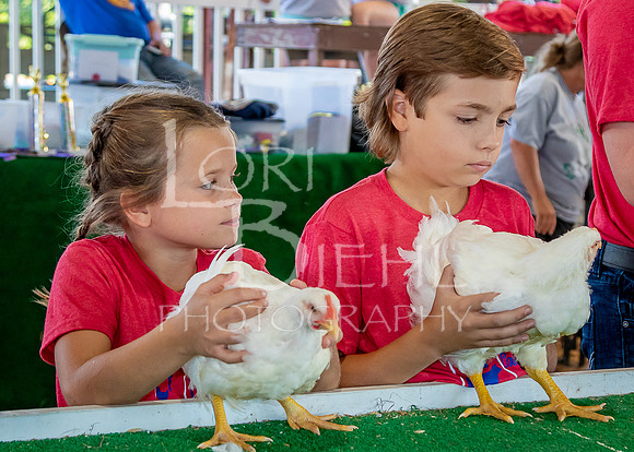 2023-07-10 LCF Jr. Poultry Show #1 - LB-18
