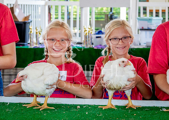2023-07-10 LCF Jr. Poultry Show #1 - LB-26