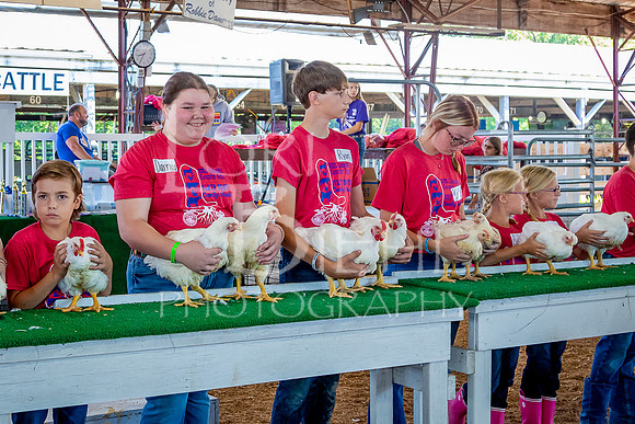 2023-07-10 LCF Jr. Poultry Show #1 - LB-28