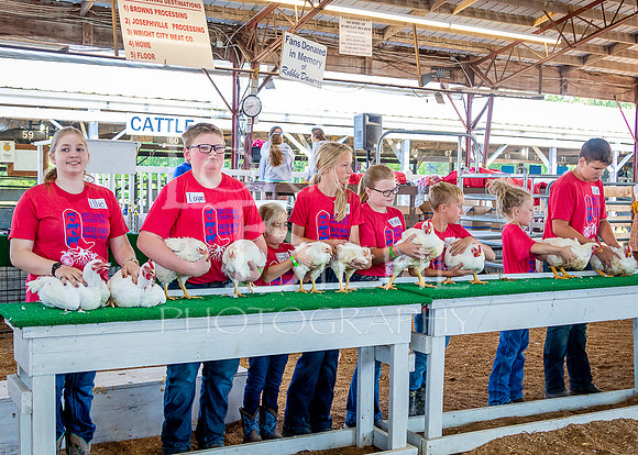 2023-07-10 LCF Jr. Poultry Show #1 - LB-29