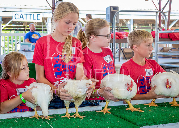 2023-07-10 LCF Jr. Poultry Show #1 - LB-31