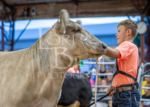 2024-07-10 LCF Jr. Steer Show #1 - CH-33