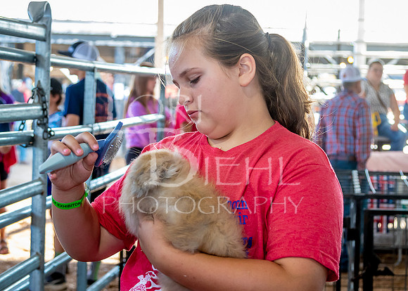 2023-07-11 LCF Jr. Rabbit Show #1 - LB-2
