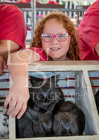 2023-07-11 LCF Jr. Rabbit Show #1 - LB-14