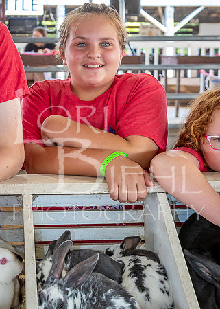 2023-07-11 LCF Jr. Rabbit Show #1 - LB-15