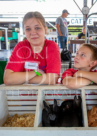 2023-07-11 LCF Jr. Rabbit Show #1 - LB-19