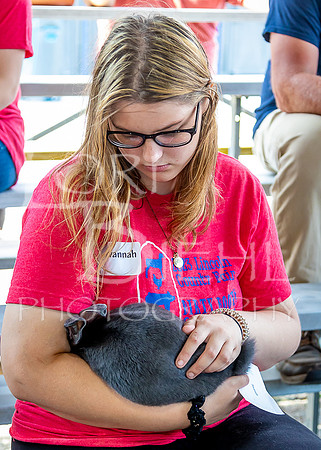 2023-07-11 LCF Jr. Rabbit Show #1 - LB-26
