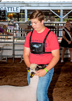 2022-07-13 LCF Jr. Lamb Show #1-LB-26