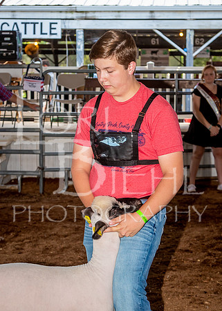2022-07-13 LCF Jr. Lamb Show #1-LB-26