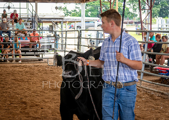 2024-07-11 LCF Jackpot Steer Show #1 - LB-25