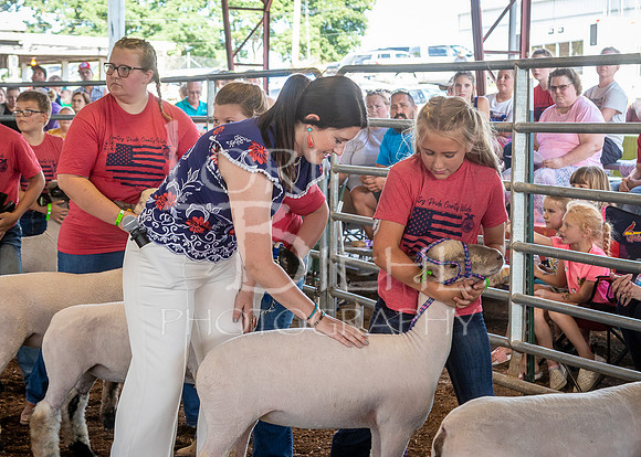 2022-07-13 LCF Jr. Lamb Show #1-LB-4