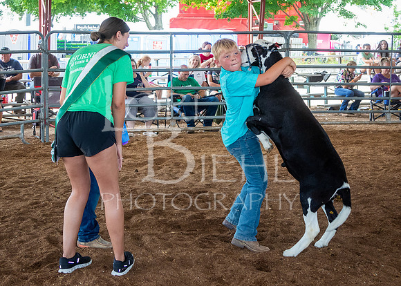 2024-07-13 LCF Open Breeding Sheep Show #1 - LB-25