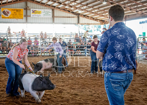 2024-07-10 LCF Master Showmanship #1 - LB-39