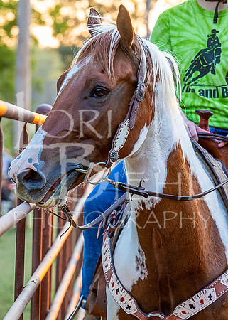 2023-07-11 LCF Open Youth Horse Show #1 - MH-216