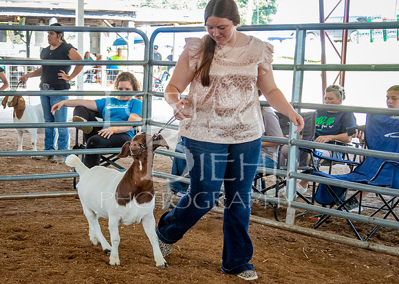 2024-07-12 LCF Open Breeding Goat Show #1 - LB-72