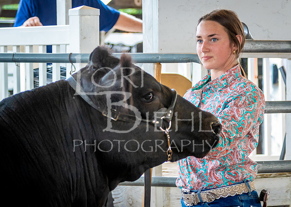 2024-07-11 LCF Jackpot Steer Show #1 - LB-27