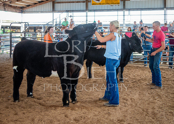 2024-07-11 LCF Jackpot Steer Show #1 - LB-9