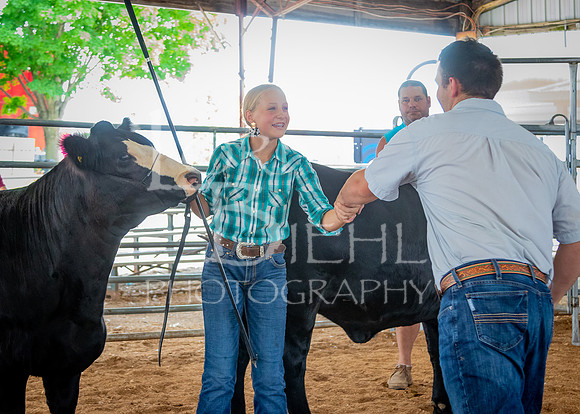 2024-07-12 LCF Open Breeding Cattle Show #1 - LB-78