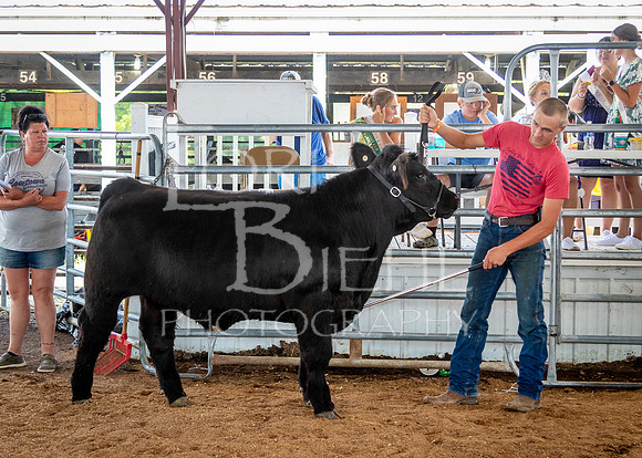 2024-07-11 LCF Jackpot Steer Show #1 - LB-14