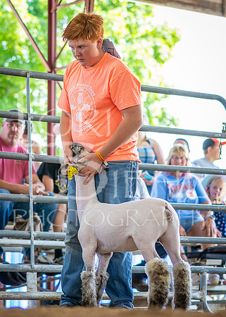 2024-07-10 LCF Jr. Sheep Show #1 - CH-7