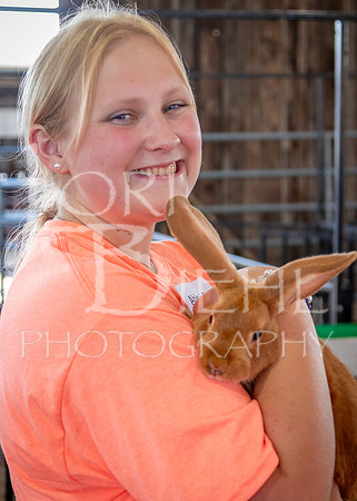 2024-07-08 LCF Jr. Rabbit Show #1 - LB-88