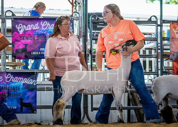 2024-07-10 LCF Jr. Sheep Show #1 - CH-14
