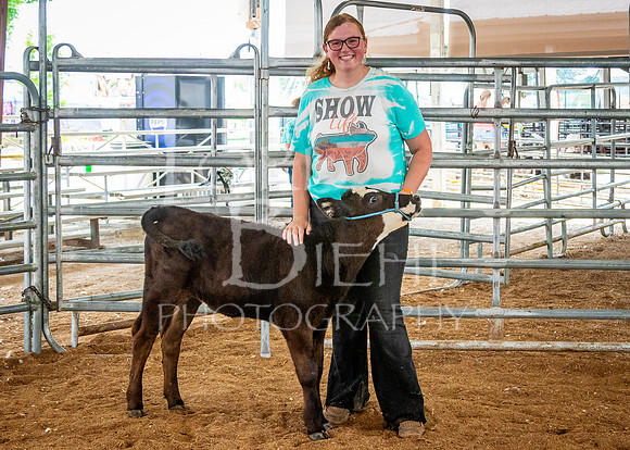 2024-07-12 LCF Open Breeding Cattle Show #1 - LB-2